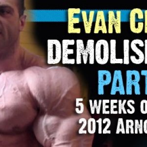 2012 Bodybuilding Images