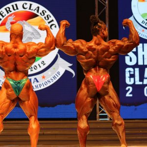 2012 Bodybuilding Images