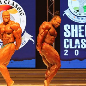 2012 Bodybuilding Images