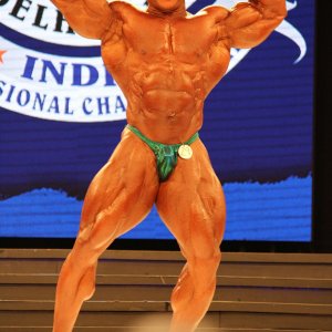 2012 Bodybuilding Images