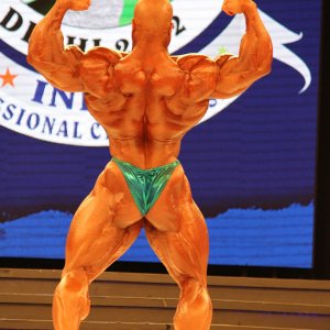 2012 Bodybuilding Images