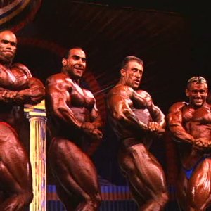 2012 Bodybuilding Images