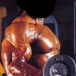 2012 Bodybuilding Images