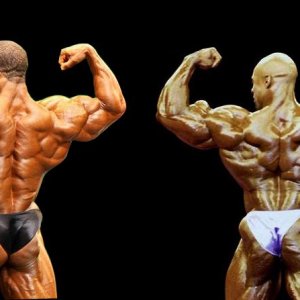 2012 Bodybuilding Images