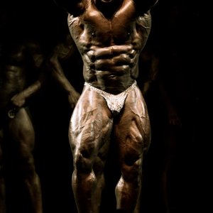 2012 Bodybuilding Images