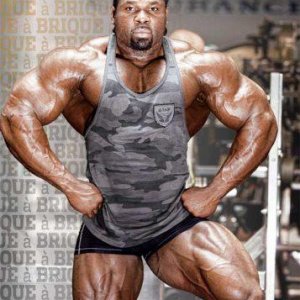 2012 Bodybuilding Images