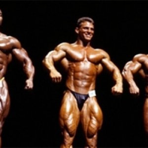 2012 Bodybuilding Images