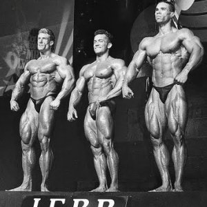 2012 Bodybuilding Images