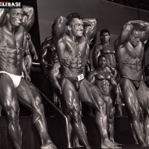 2012 Bodybuilding Images