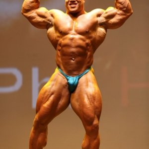 2012 Bodybuilding Images