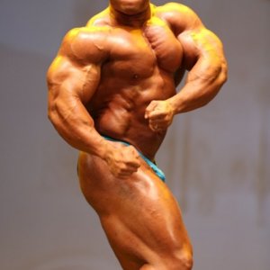 2012 Bodybuilding Images