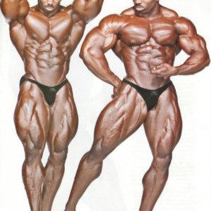 2012 Bodybuilding Images