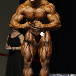 2012 Bodybuilding Images