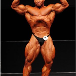 2012 Bodybuilding Images