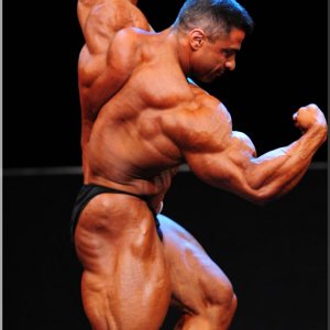 2012 Bodybuilding Images