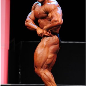 2012 Bodybuilding Images