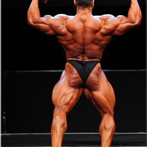 2012 Bodybuilding Images