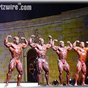 2012 Bodybuilding Images