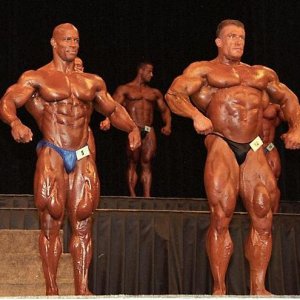 2012 Bodybuilding Images