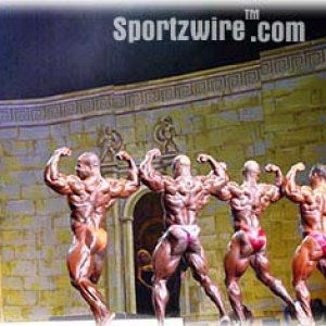 2012 Bodybuilding Images