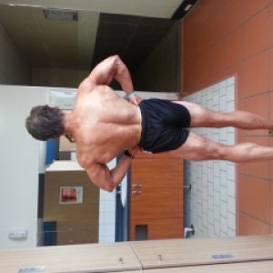 2012 Bodybuilding Images