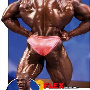 2012 Bodybuilding Images