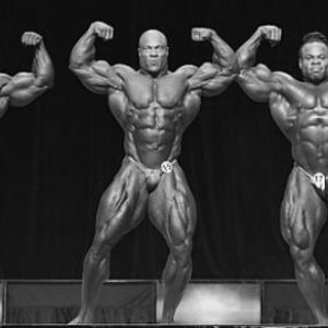 2012 Bodybuilding Images