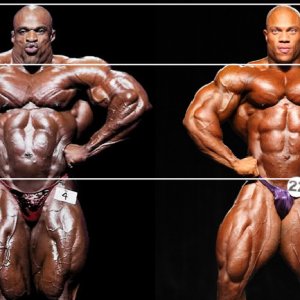 2012 Bodybuilding Images