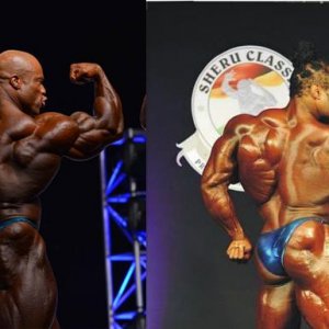 2012 Bodybuilding Images