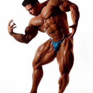 2012 Bodybuilding Images