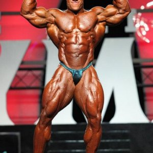 2012 Bodybuilding Images