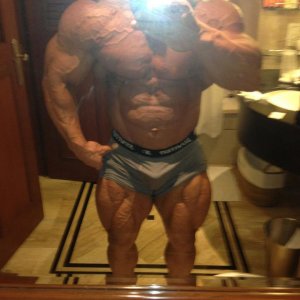 2012 Bodybuilding Images