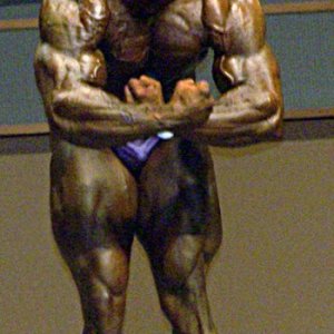 2012 Bodybuilding Images