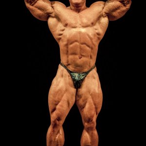 2012 Bodybuilding Images