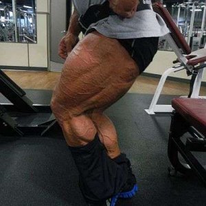 2012 Bodybuilding Images