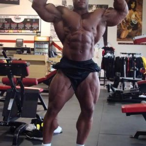 2012 Bodybuilding Images