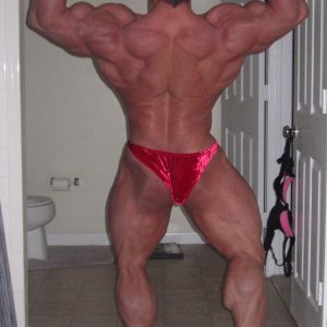 2012 Bodybuilding Images