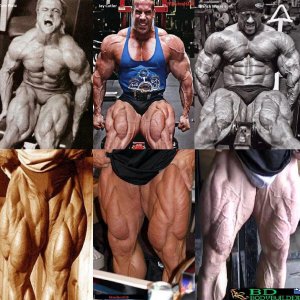 2012 Bodybuilding Images