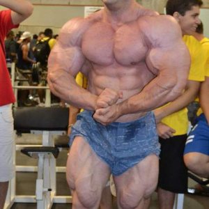 2012 Bodybuilding Images