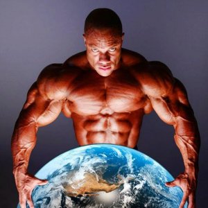 2012 Bodybuilding Images