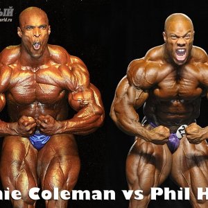 2012 Bodybuilding Images