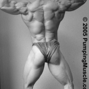 2012 Bodybuilding Images