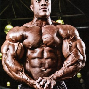 2012 Bodybuilding Images