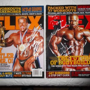 2012 Bodybuilding Images