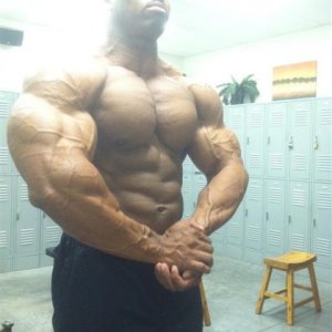 2012 Bodybuilding Images