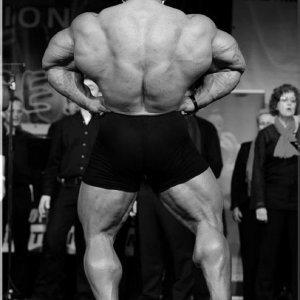 2012 Bodybuilding Images