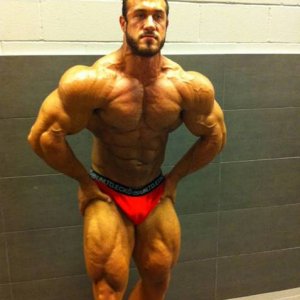 2012 Bodybuilding Images