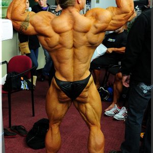 2012 Bodybuilding Images