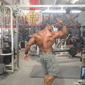 2012 Bodybuilding Images