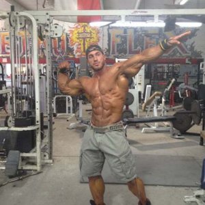 2012 Bodybuilding Images